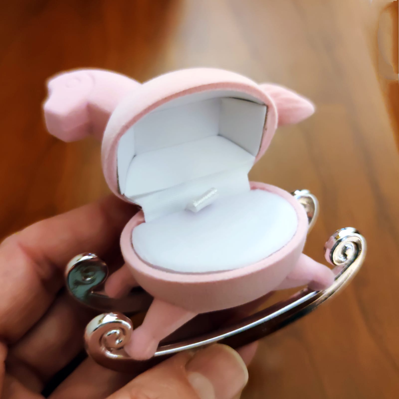 Escuche Caballito terciopelo rosa para Joyería 3